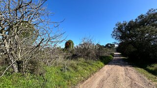 Land for sale in Tomar, Portugal — €8,000