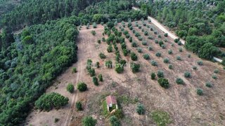 Land for sale in Constância, Portugal — €180,000