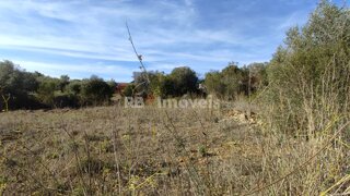 Land for sale in Tomar, Portugal — €5,000