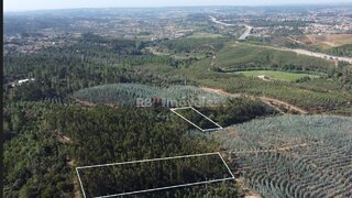 Land for sale in Tomar, Portugal — €36,000
