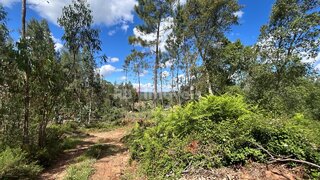 Land for sale in Ferreira do Zêzere, Portugal — €3,000