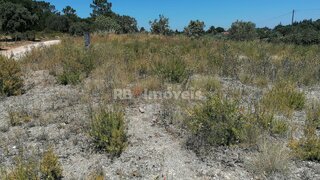 Land for sale in Tomar, Portugal — €70,000