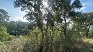 Land for sale in Tomar, Portugal — €15,000