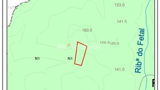Land for sale in Tomar, Portugal — €5,200