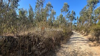 Land for sale in Tomar, Portugal — €9,900