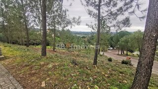 Land for sale in Constância, Portugal — €35,000