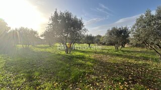 Land for sale in Tomar, Portugal — €34,000