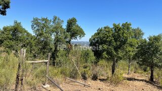 Land for sale in Gavião, Portugal — €15,000