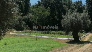 Land for sale in Tomar, Portugal — €10,500