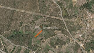 Terreno em Tomar
