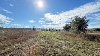 Land for sale in Abrantes, Portugal — €6,500