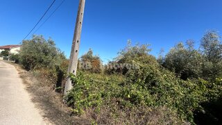 Land for sale in Tomar, Portugal — €7,100