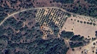 Land for sale in Torres Novas, Portugal — €8,200
