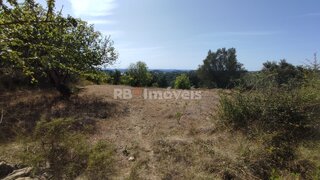 Land for sale in Tomar, Portugal — €15,200