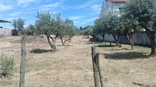 Terreno em Chamusca · 1520 m² · 33 690 €