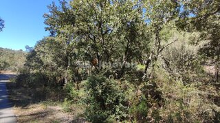 Land for sale in Ferreira do Zêzere, Portugal — €6,500