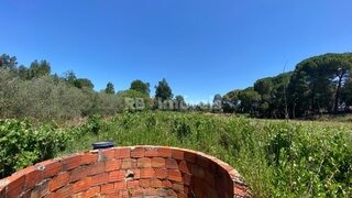 Land for sale in Tomar, Portugal — €25,000