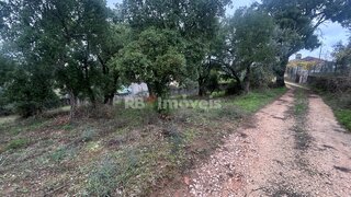Land for sale in Tomar, Portugal — €15,000