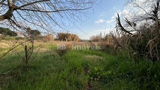 Land for sale in Tomar, Portugal — €45,000