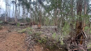 Land for sale in Tomar, Portugal — €39,000