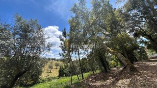 Land for sale in Ferreira do Zêzere, Portugal — €20,000