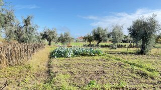 Land for sale in Abrantes, Portugal — €9,500