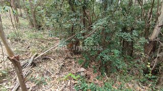 Land for sale in Ferreira do Zêzere, Portugal — €18,500