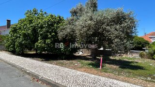 Land for sale in Entroncamento, Portugal — €65,000