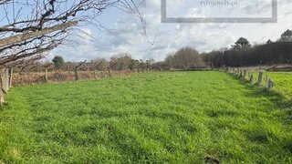 Land for sale in Paredes de Coura, Portugal — €14,900