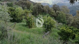 Land for sale in Baião, Portugal — €47,500