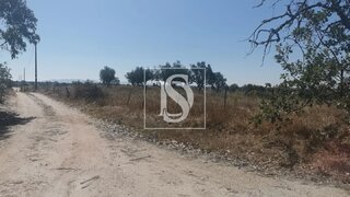 Land for sale in Nisa, Portugal — €80,000