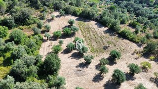 Land for sale in Torres Novas, Portugal — €2,900