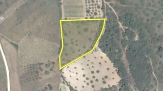 Land for sale in Torres Novas, Portugal — €4,500