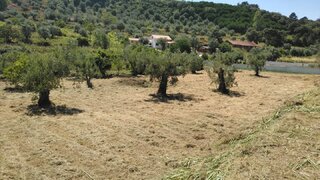 Land for sale in Ourém, Portugal — €60,000