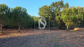 Land for sale in Torres Novas, Portugal — €24,000
