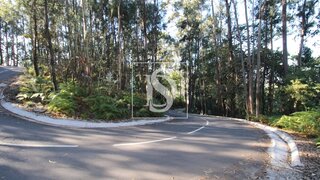 Terreno em Mondim de Basto