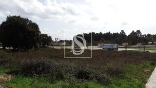 Land for sale in Ferreira do Zêzere, Portugal — €43,990