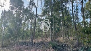 Land for sale in Barcelos, Portugal — €32,500