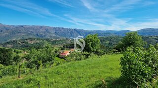 Terreno em Vieira do Minho