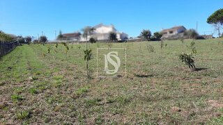 Land for sale in Mortágua, Portugal — €35,000