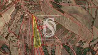 Land for sale in Tomar, Portugal — €62,000