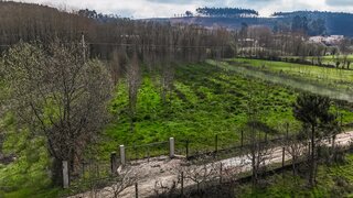 Land for sale in Ponte de Lima, Portugal — €38,500
