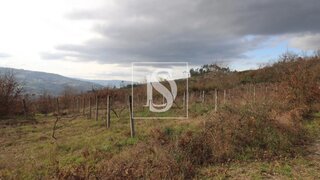 Land for sale in Amarante, Portugal — €125,000