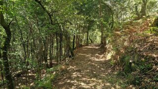 Land for sale in Vieira do Minho, Portugal — €50,000