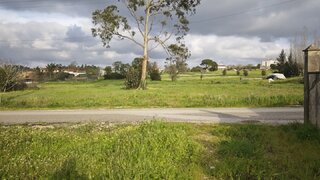 Land for sale in Montemor-o-Velho, Portugal — €37,500