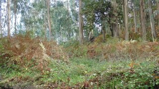 Land for sale in Fafe, Portugal — €130,000