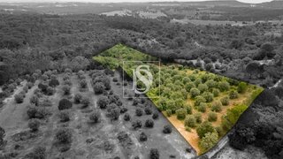 Land for sale in Torres Novas, Portugal — €16,000