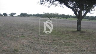 Terreno em Fronteira