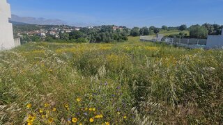 Land for sale in Torres Novas, Portugal — €55,000