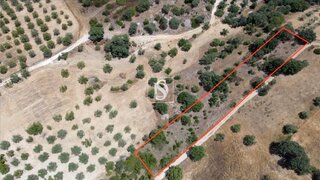 Land for sale in Torres Novas, Portugal — €2,900